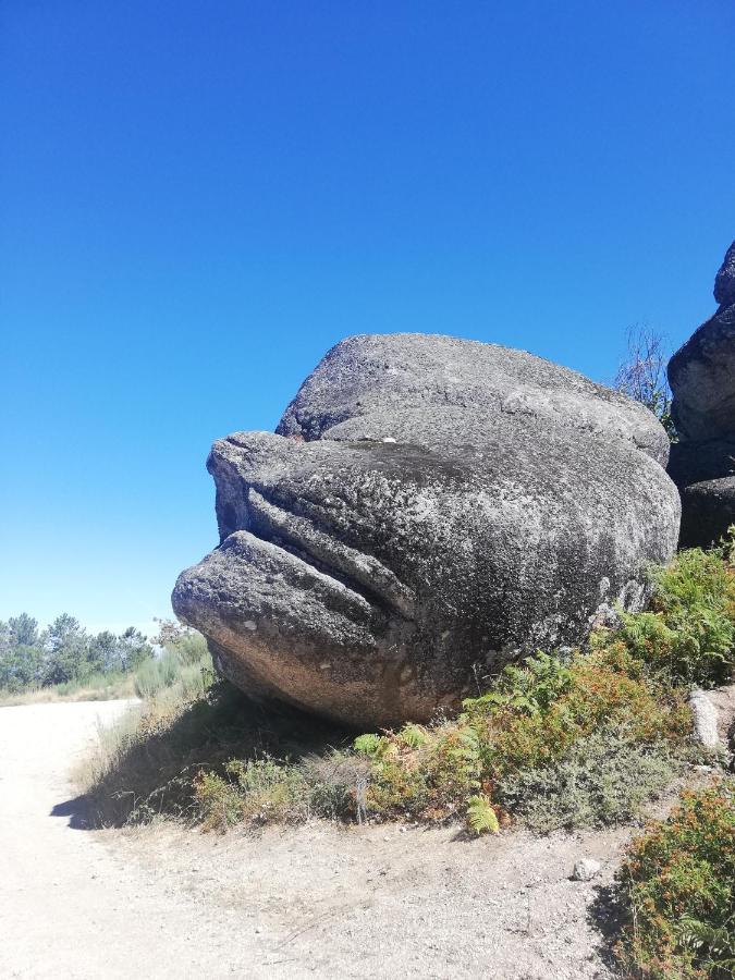 Sambuc'Asa - Serra Da Estrela Sabugueiro  Eksteriør billede