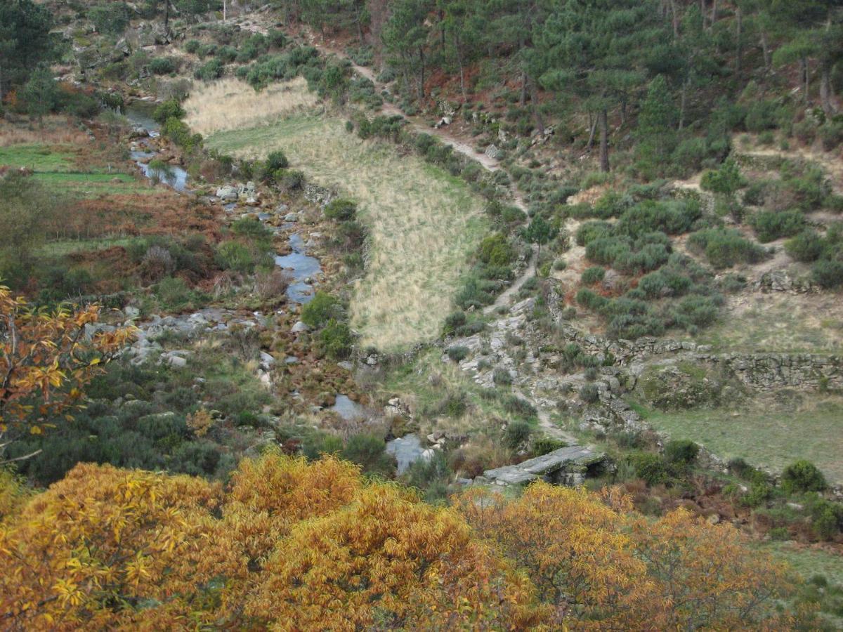 Sambuc'Asa - Serra Da Estrela Sabugueiro  Eksteriør billede