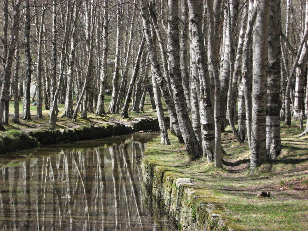 Sambuc'Asa - Serra Da Estrela Sabugueiro  Eksteriør billede